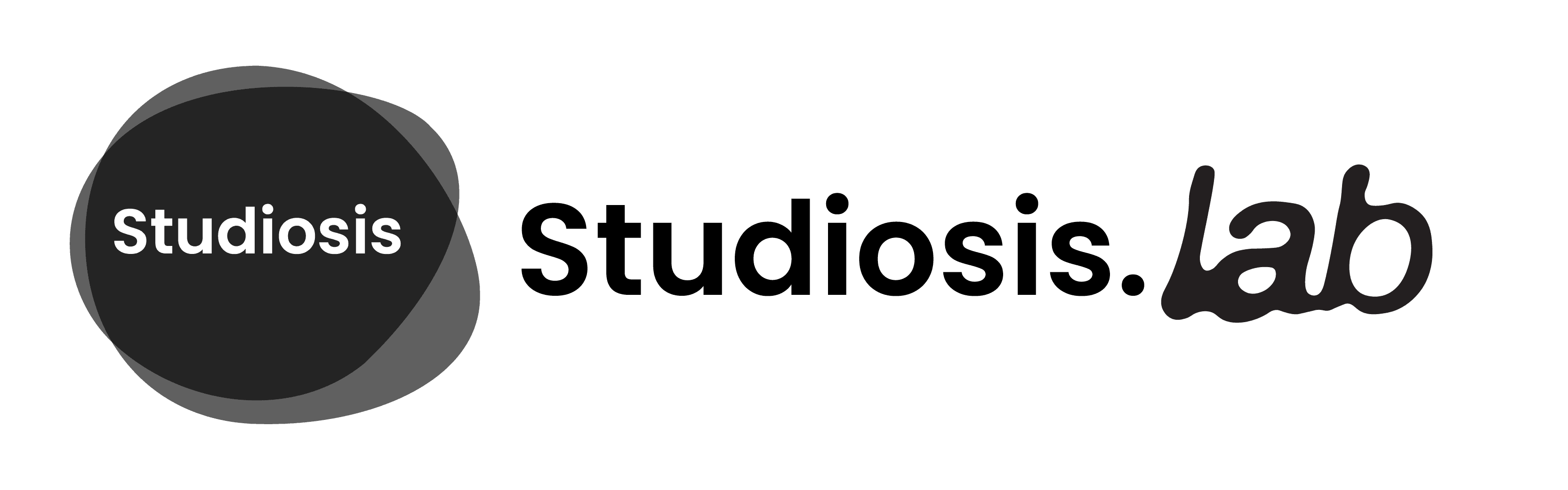 StudiosisLab
