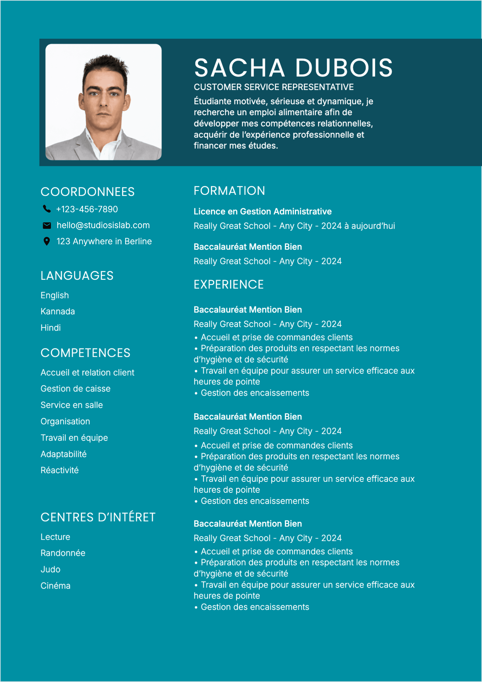 Customer Service Representative Resume resume template preview