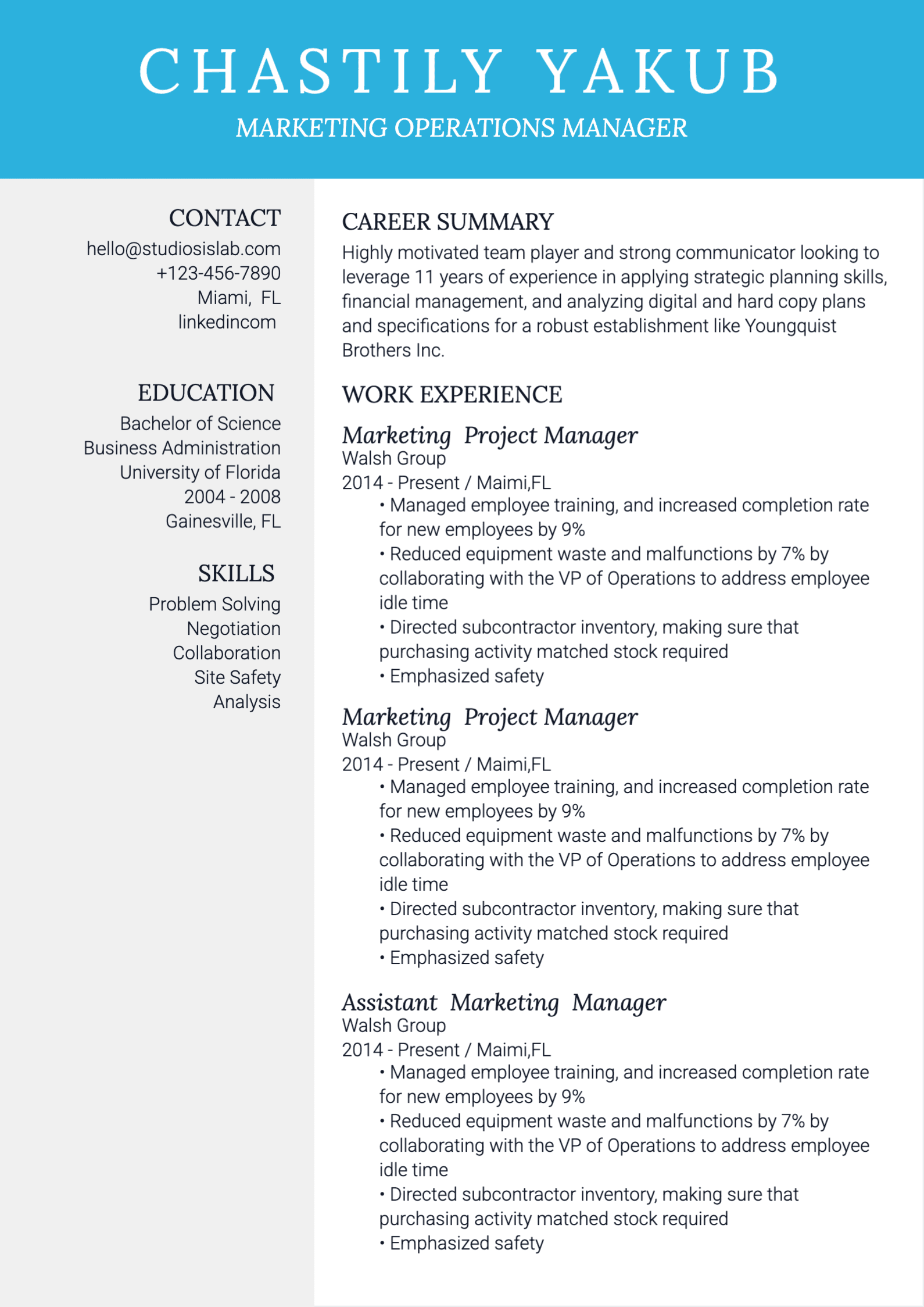 Operations Manager Resume resume template preview