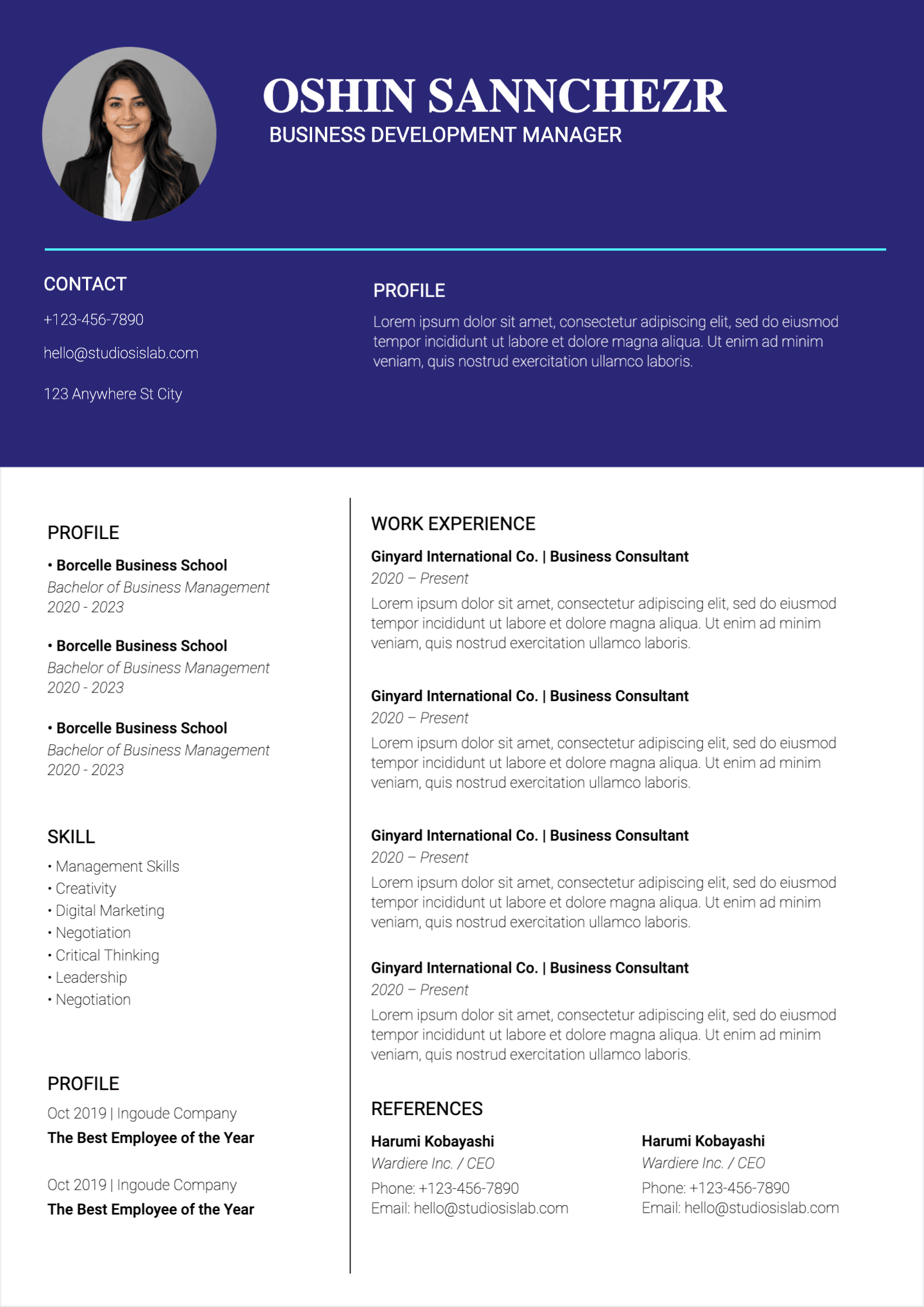 Business Development Manager Resume resume template preview