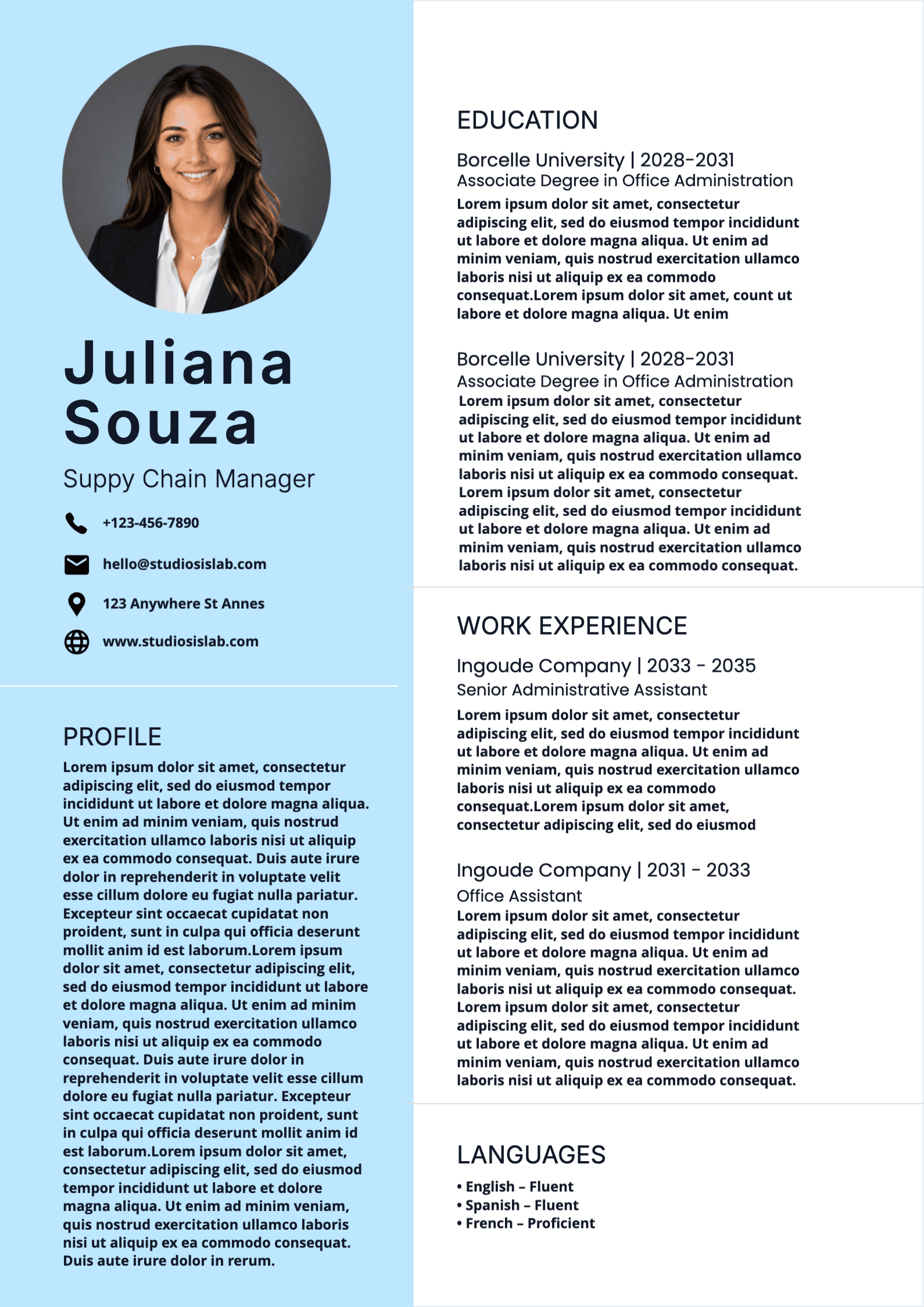 Supply Chain Manager Resume resume template preview