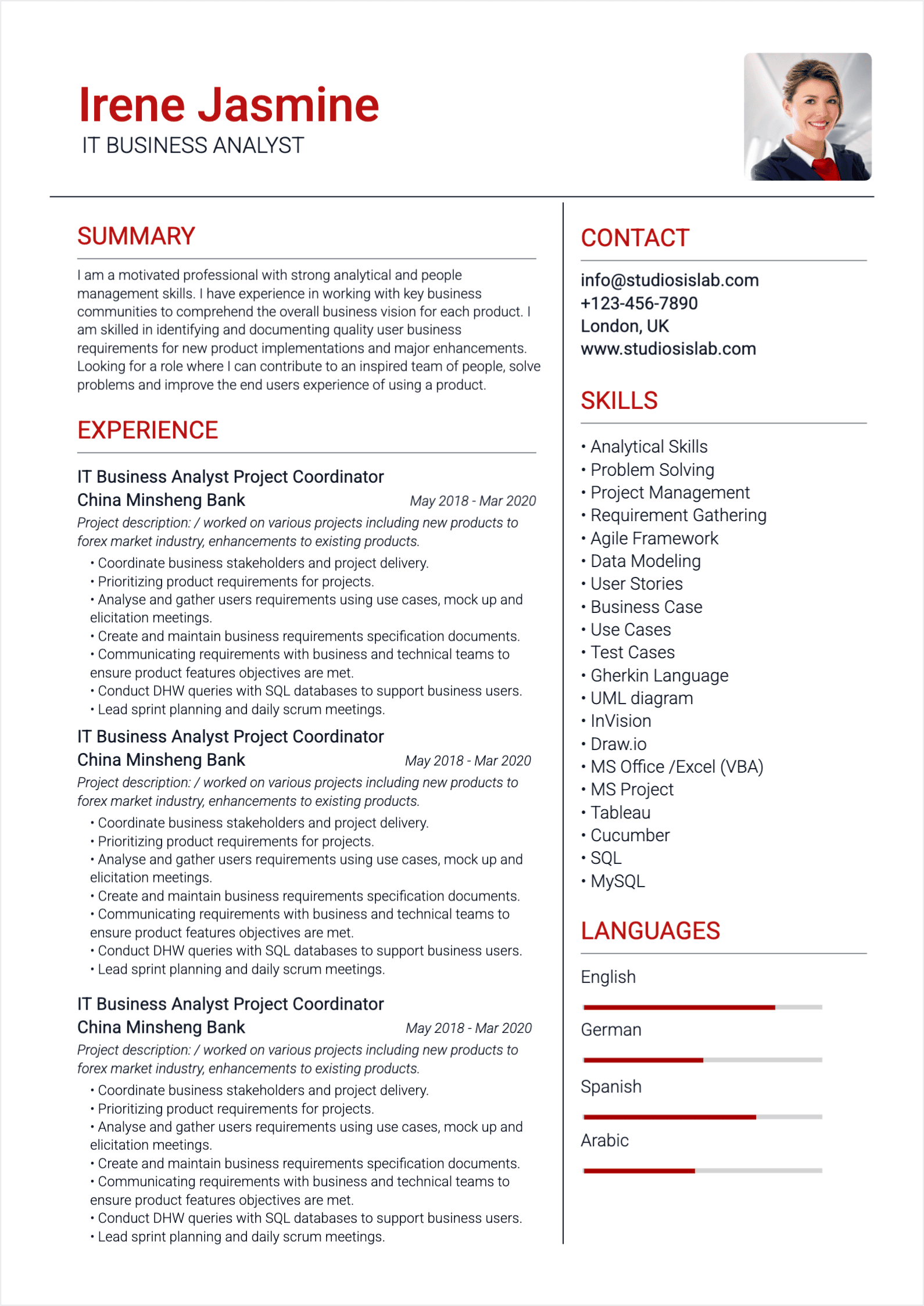 Business Analyst Resume resume template preview